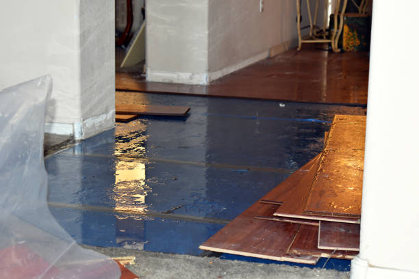 Professional Basement Flood Cleanup technician working in Centerville, IA